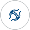 20210811175459000181/resource/images/26c19f439e824ffc92f69fbb7bbbc6ef_12.png Boosts immune function