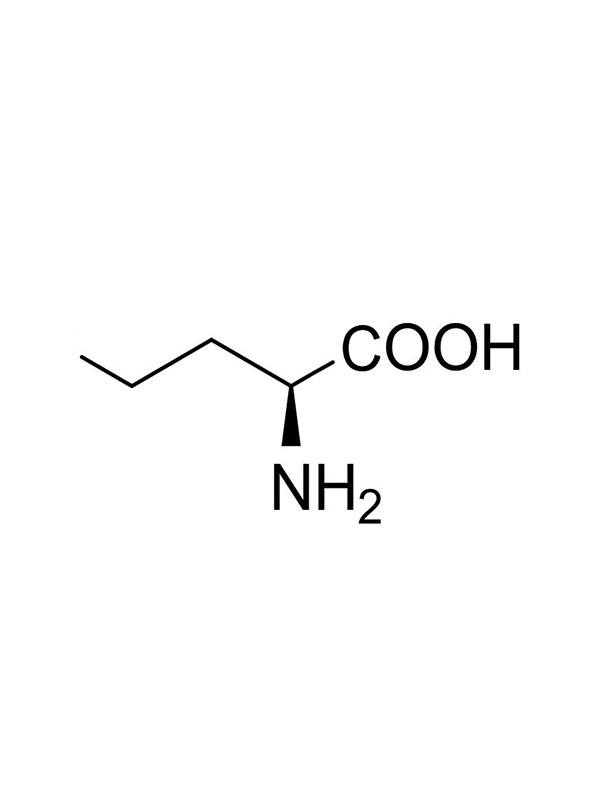 L- norvaline